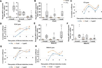 Plasma Kallikrein as a Modulator of Liver Injury/Remodeling